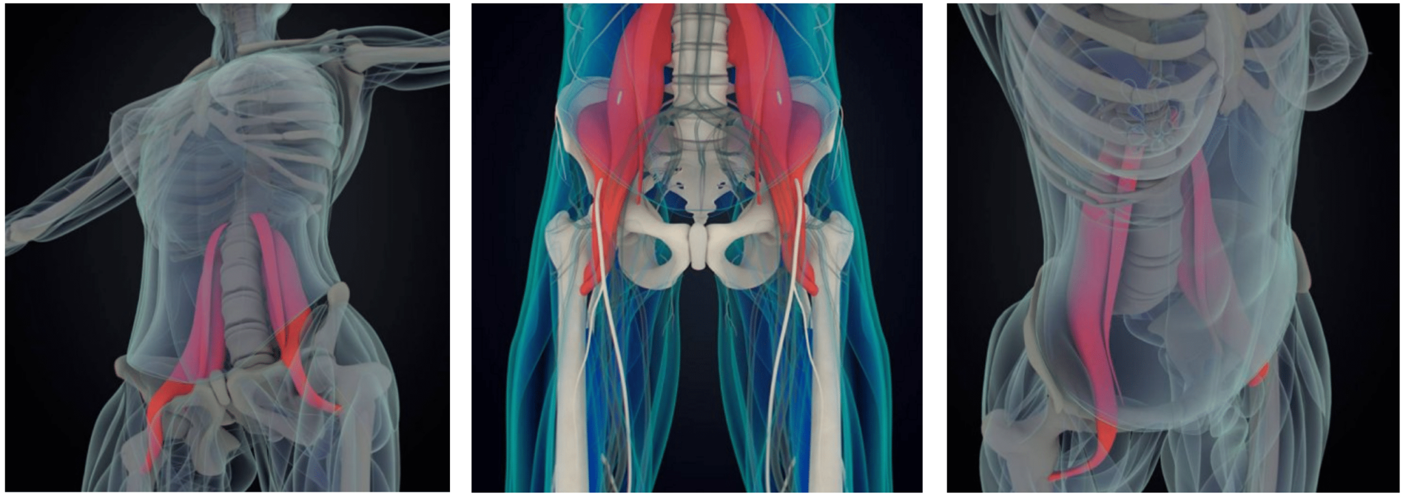 Psoas