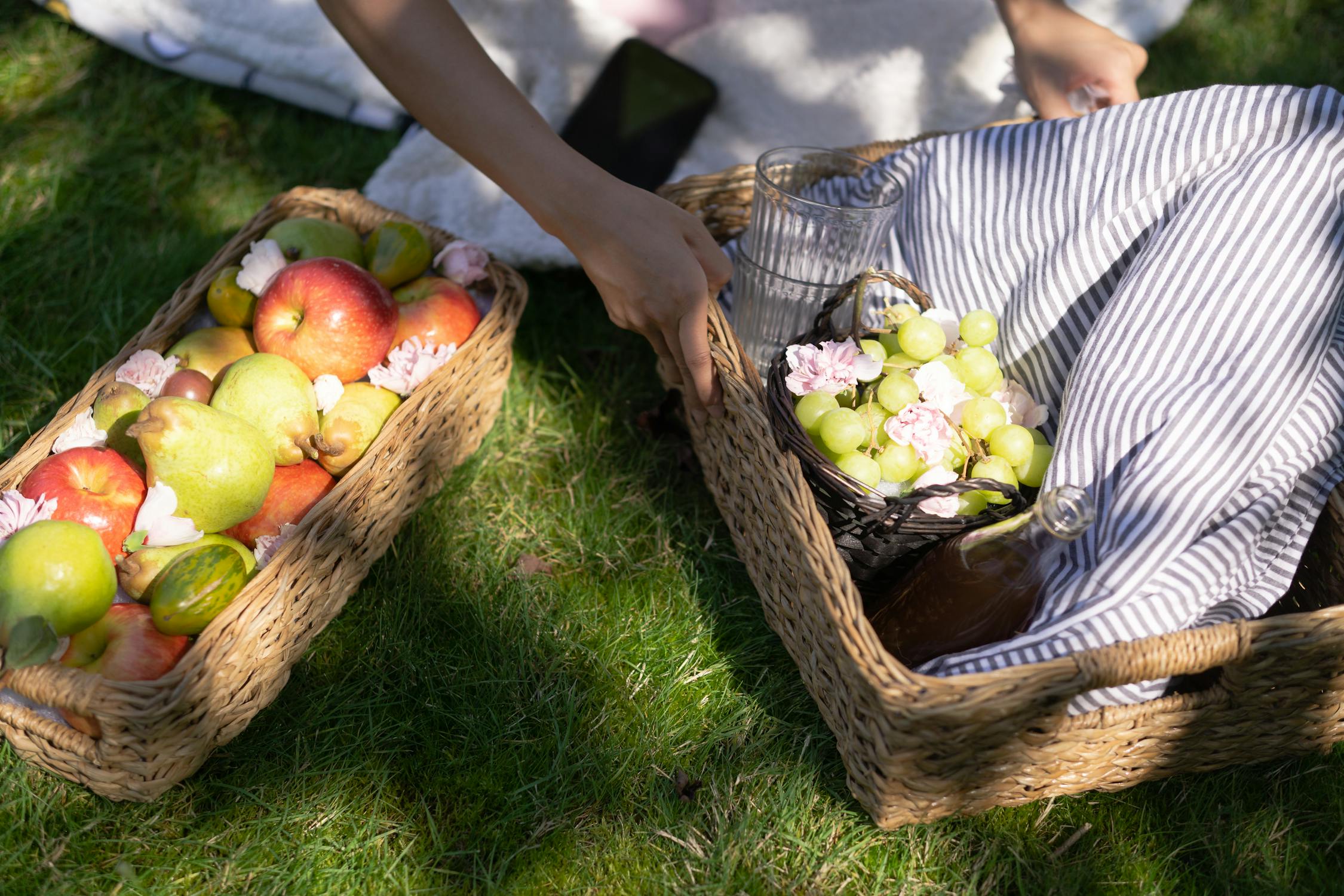 Fruits frais